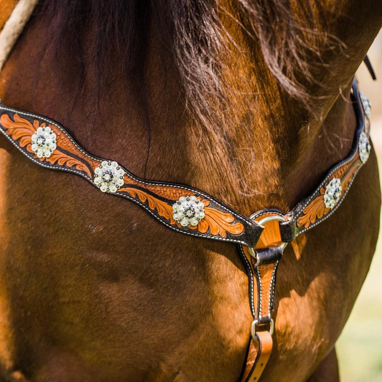 Two Tone Leaf Jet and Clear One Ear & Breastcollar Tack Set