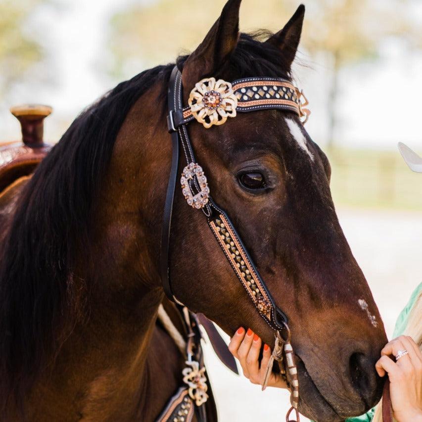 Two Tone Leather - Brass Studded Gold Browband / Breastcollar Tack Set