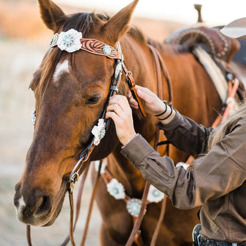 Zebra Turquoise and White Browband / Breastcollar Tack Set