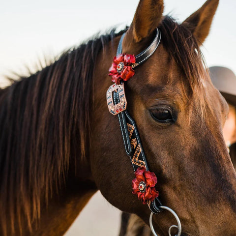 Feathered Arrow Ruby One Ear/ Breastcollar Tack Set