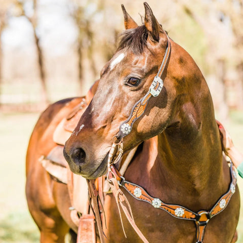 Two Tone Leaf Jet and Clear One Ear & Breastcollar Tack Set