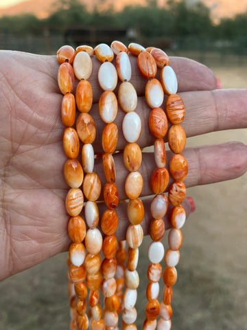 Spiny & Sterling Silver 16 inch Beaded Necklace